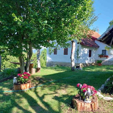 Etno Guest House Lalovic Tjentiste Εξωτερικό φωτογραφία