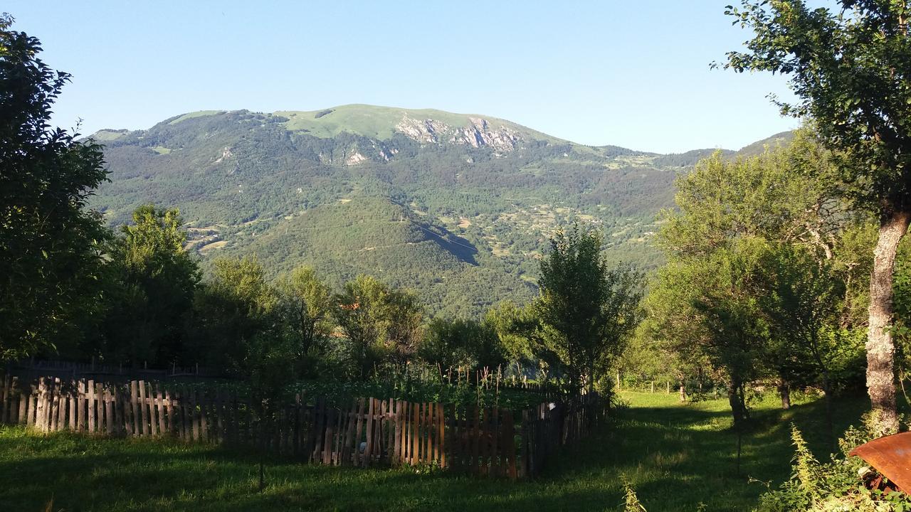 Etno Guest House Lalovic Tjentiste Εξωτερικό φωτογραφία