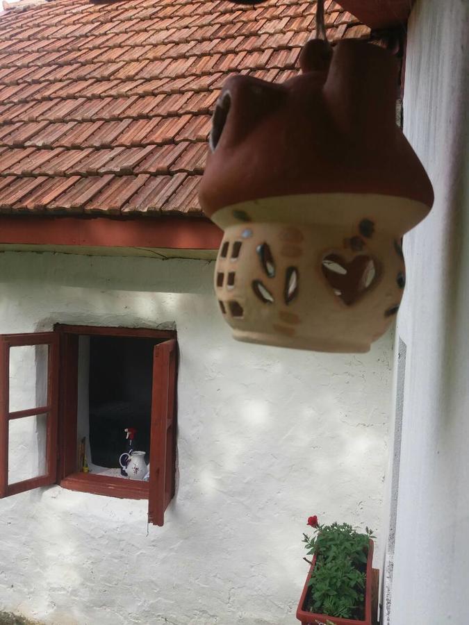 Etno Guest House Lalovic Tjentiste Εξωτερικό φωτογραφία